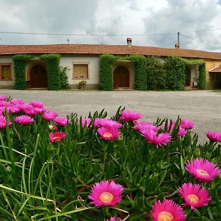 Agriturismo Monte Alzato カパルビオ エクステリア 写真
