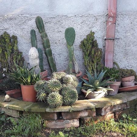 Agriturismo Monte Alzato カパルビオ エクステリア 写真