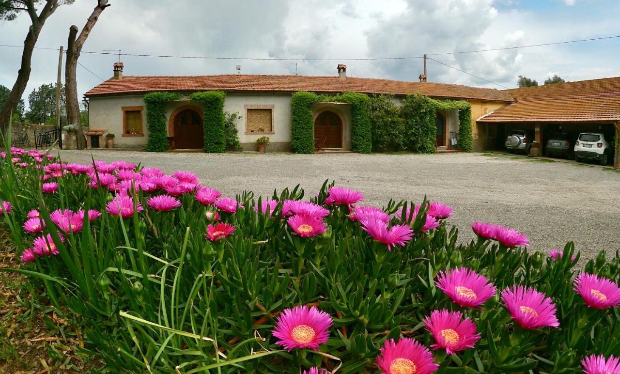 Agriturismo Monte Alzato カパルビオ エクステリア 写真