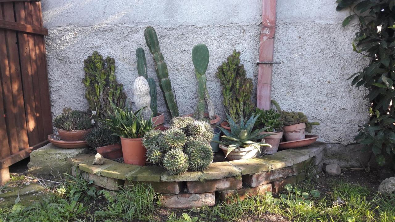 Agriturismo Monte Alzato カパルビオ エクステリア 写真
