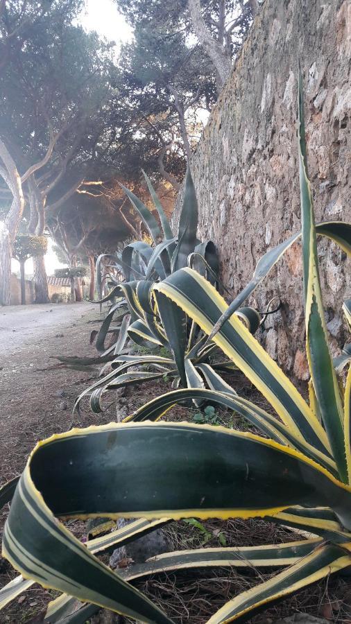 Agriturismo Monte Alzato カパルビオ エクステリア 写真