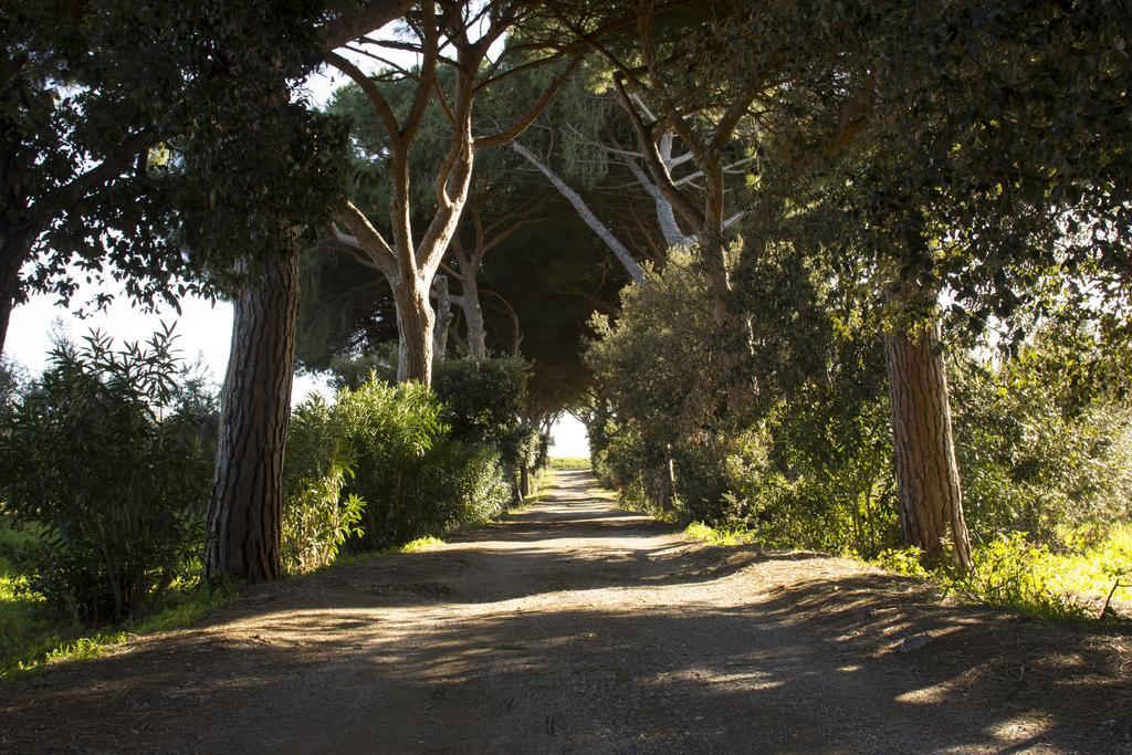 Agriturismo Monte Alzato カパルビオ エクステリア 写真